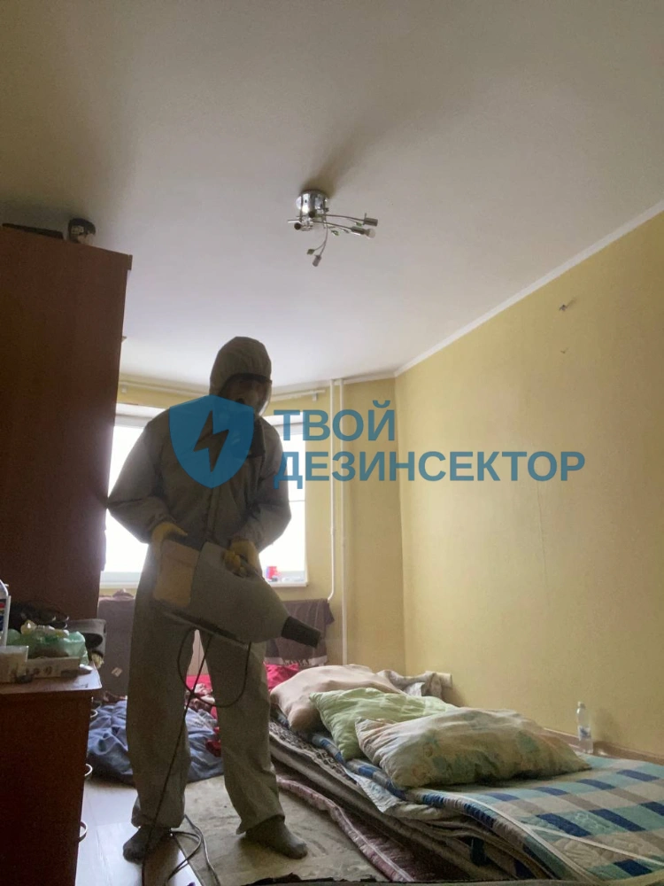 Избавиться от клопов в Москве